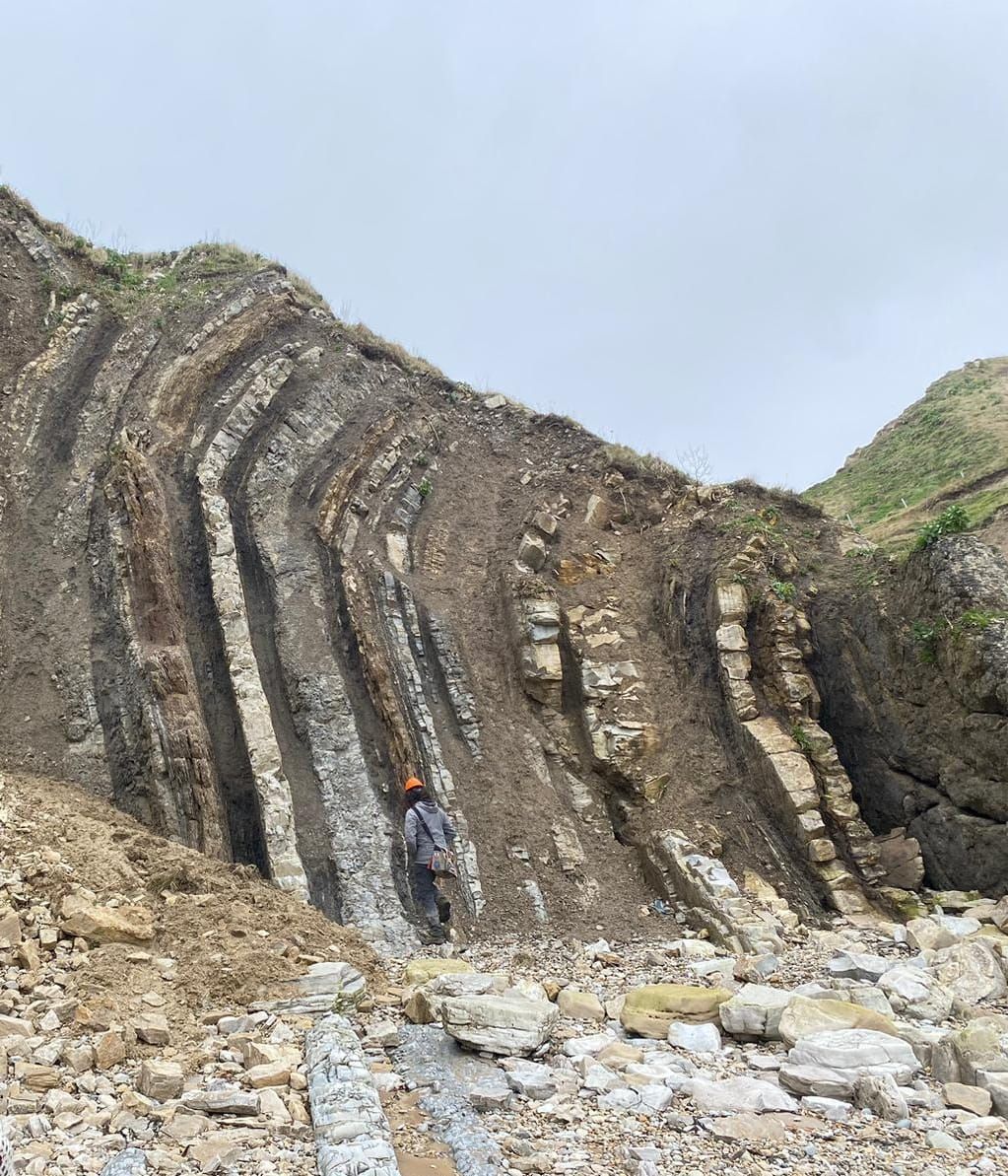Folded rock strata on the Dorset coast