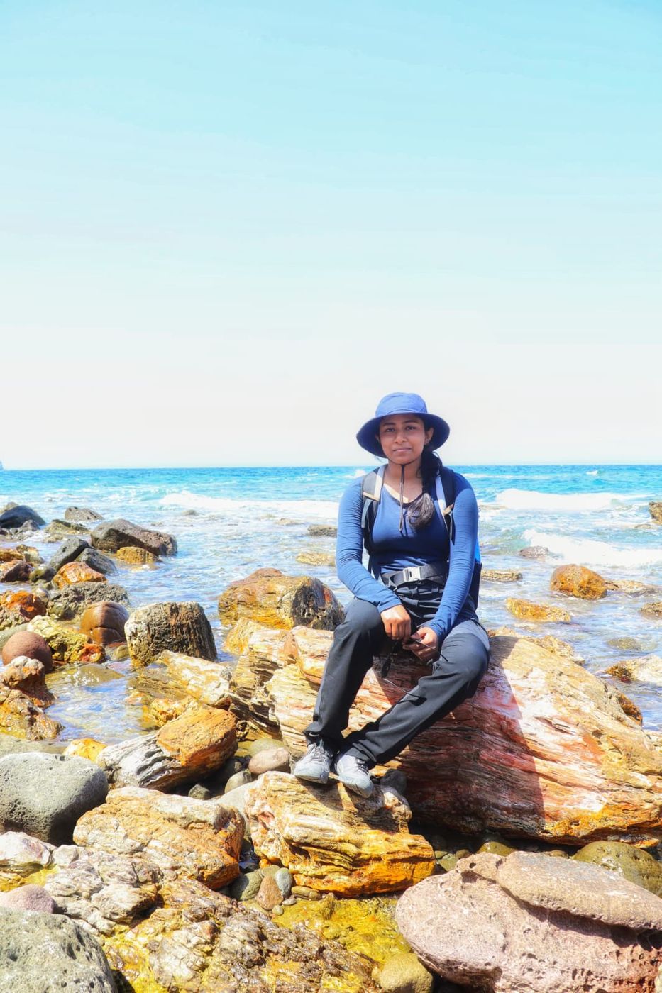 Gouri on fossilised wood on the coast of Lesvos